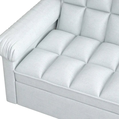 56 Foam 2-Seater Sofa Bed with Pull-Out Sleeper and Adjustable Backrest