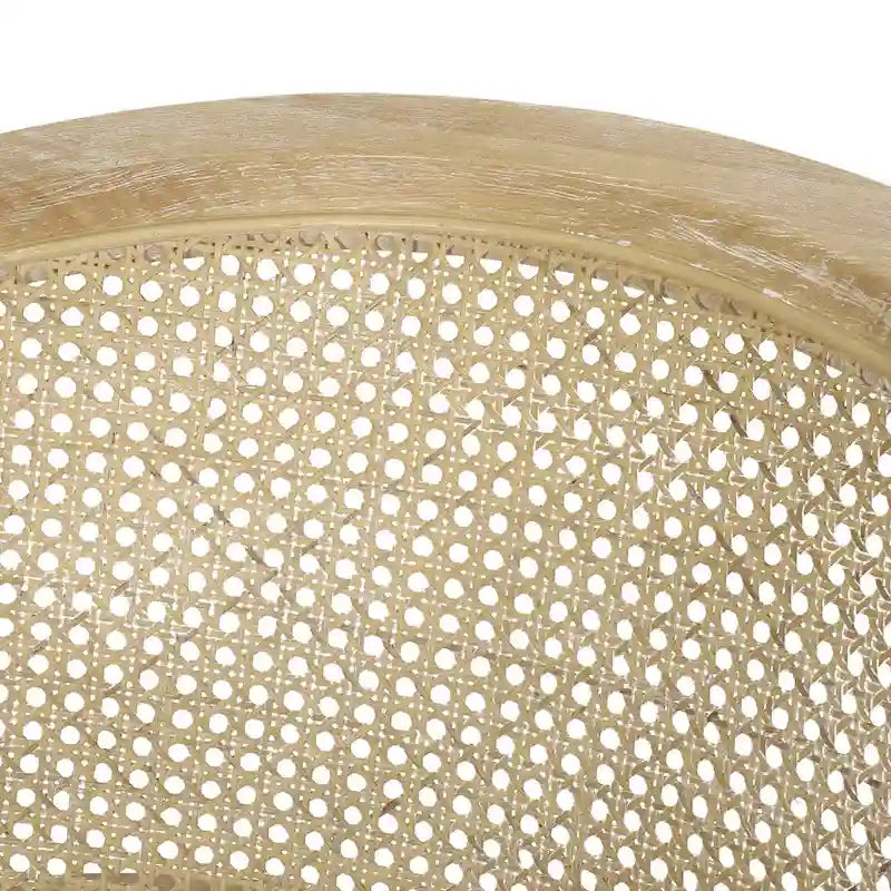 Steinaker Wood and Cane Accent Chairs (Set of 2) by Christopher Knight Home