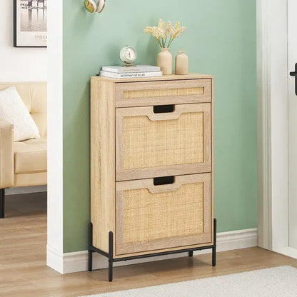 Two-door one-drawer shoe cabinet